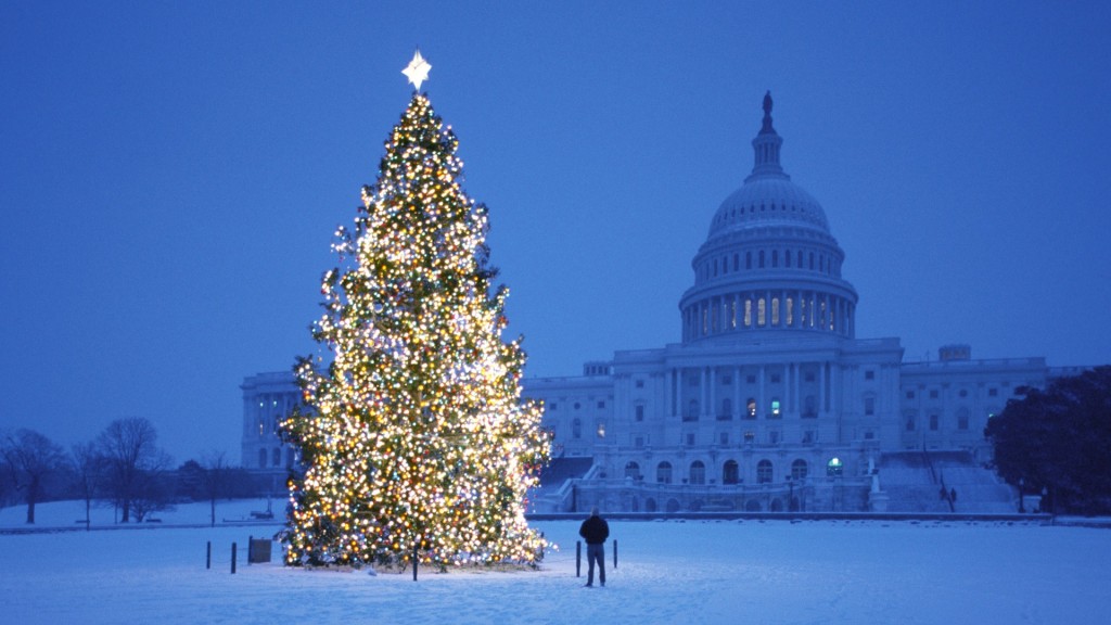 Christmas tree in front of the capital building