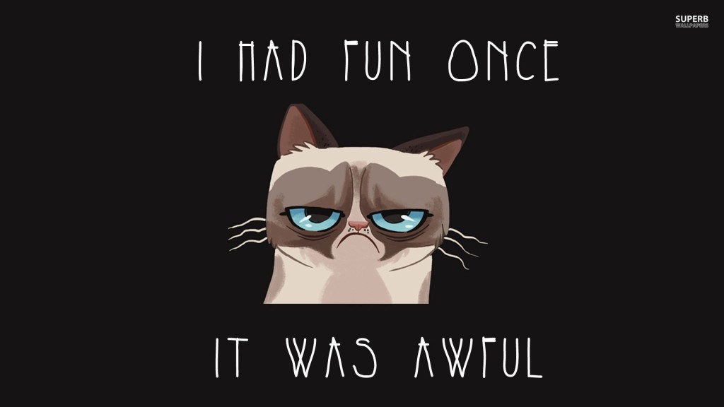 Grumpy cat once had fun