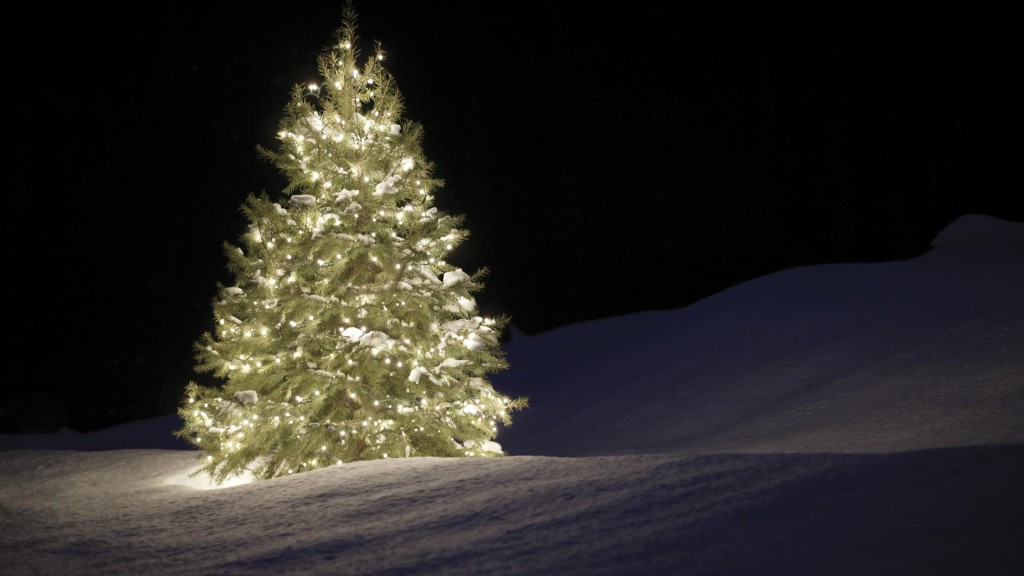 Christmas tree at night