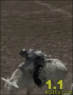 funny-epic-lucky-near-miss-with-bull.gif